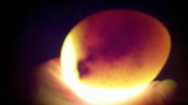93863_2011-06-30_21-24-24_730.jpg