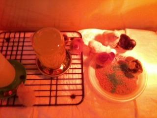 93922_photo0071.jpg
