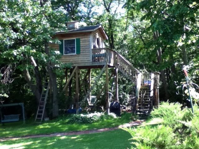 93936_treehouse.jpg