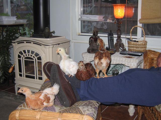 941_se_egg_002.jpg