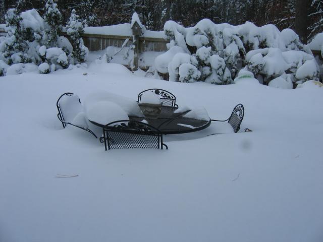 941_snowscapes_015.jpg