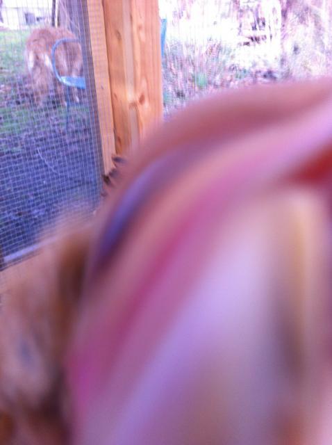94357_img_0850.jpg