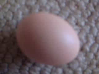 94602_picture_008.jpg