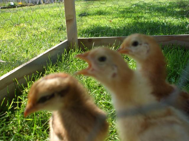 94826_picture_041.jpg