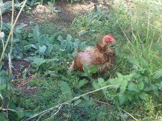 94842_2011-09-03_1525481.jpg