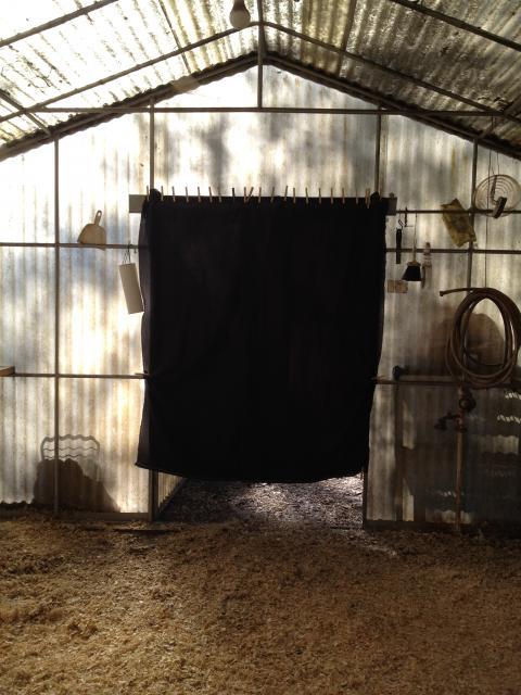 94919_coop_curtain.jpg