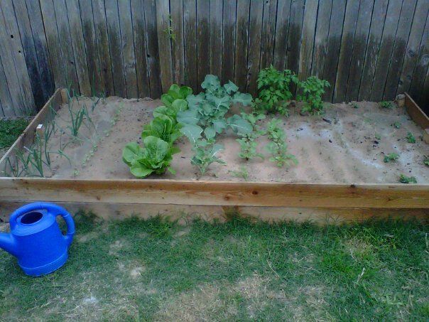 9504_garden.jpg