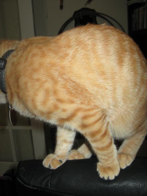9504_img_3958.jpg
