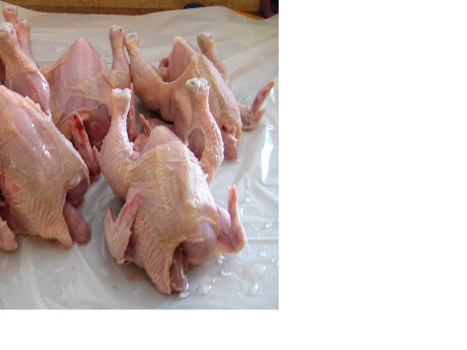 9504_process_cornish_minis.jpg