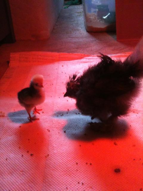 95089_photo.jpg