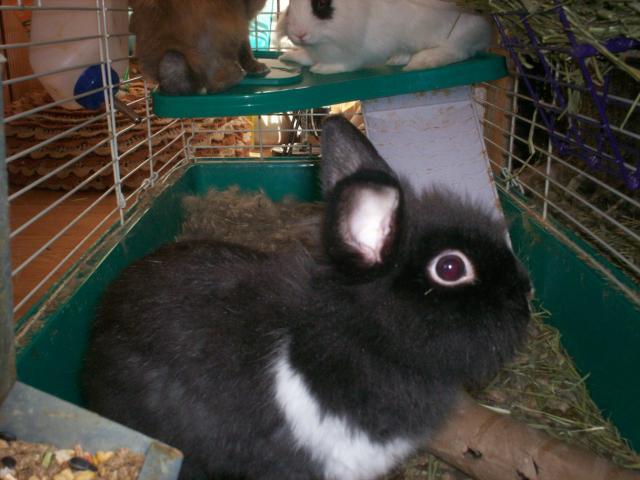 9532_100_2478.jpg