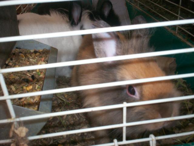 9532_100_2480.jpg