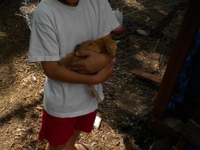 95366_dscn1637.jpg