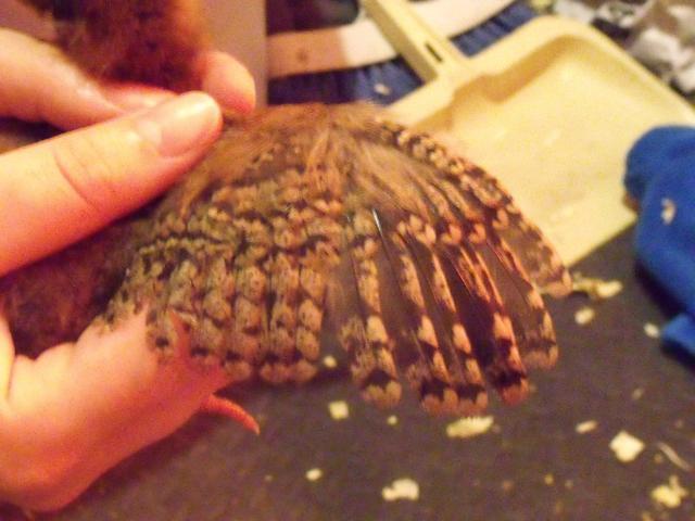 95605_dscf5395.jpg
