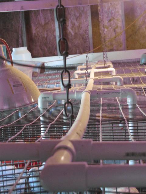 95711_waterer_005.jpg
