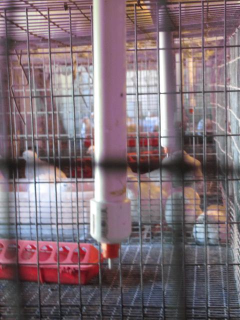 95711_waterer_006.jpg