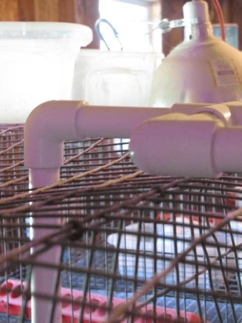 95711_waterer_007.jpg