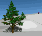 9574_skiaccident.gif
