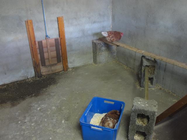 95825_img_2972.jpg