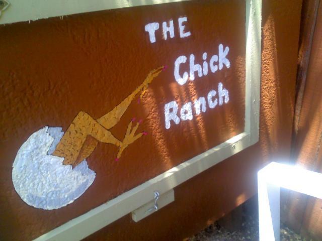 95868_the_chick_ranch.jpg