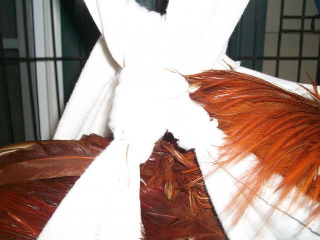 95883_006.jpg