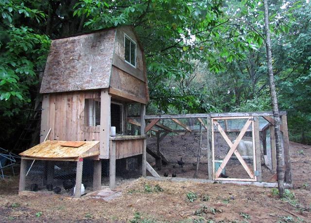 96027_chickenmanor.jpg