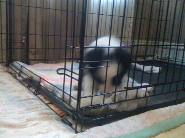 96205_003.jpg