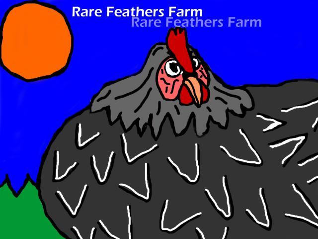 96205_rare_feathers_farm.jpg