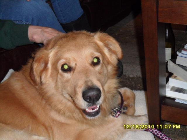 96552_sam_0672.jpg