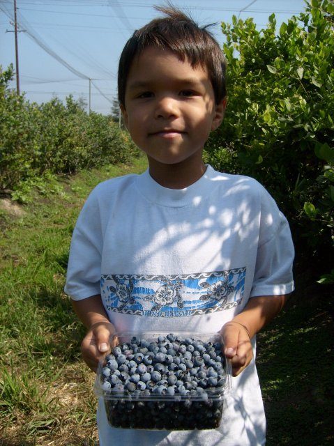 9660_s6300003.jpg