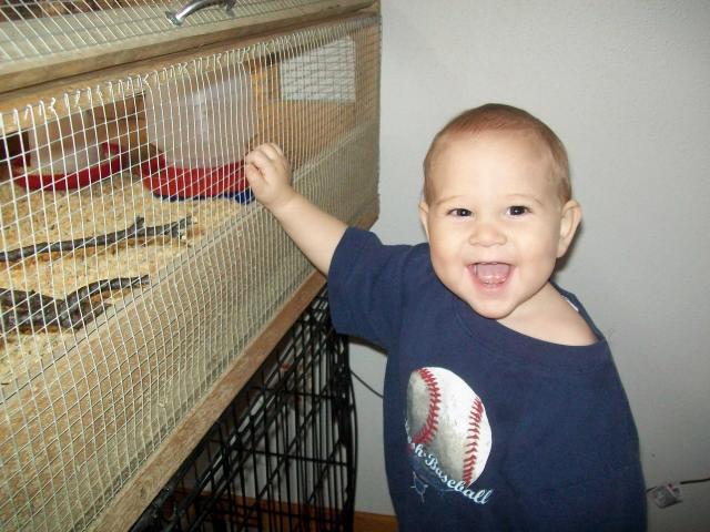 9673_joseph_at_brooder.jpg