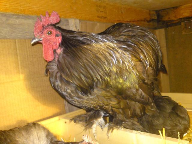 97319_dsc02084.jpg