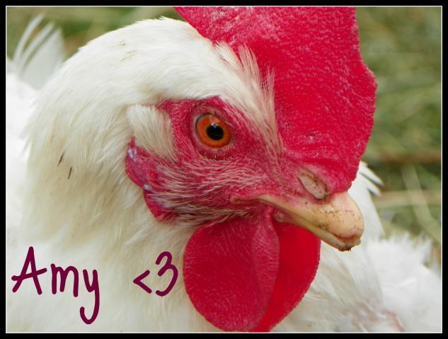 97382_amy.jpg