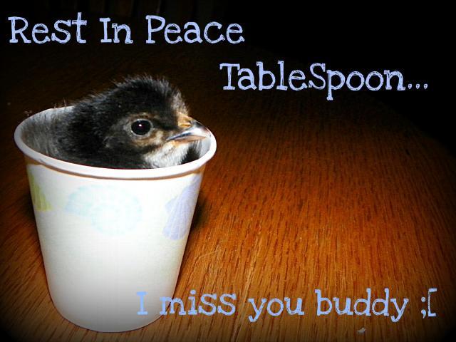 97382_tablespoon.jpg