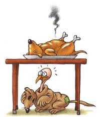 97394_dog_instead_of_turkey.png