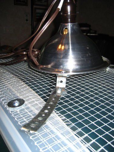 9741_brooderlight.jpg