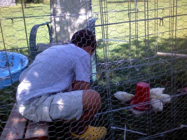 97463_jordan_and_chicks.jpg