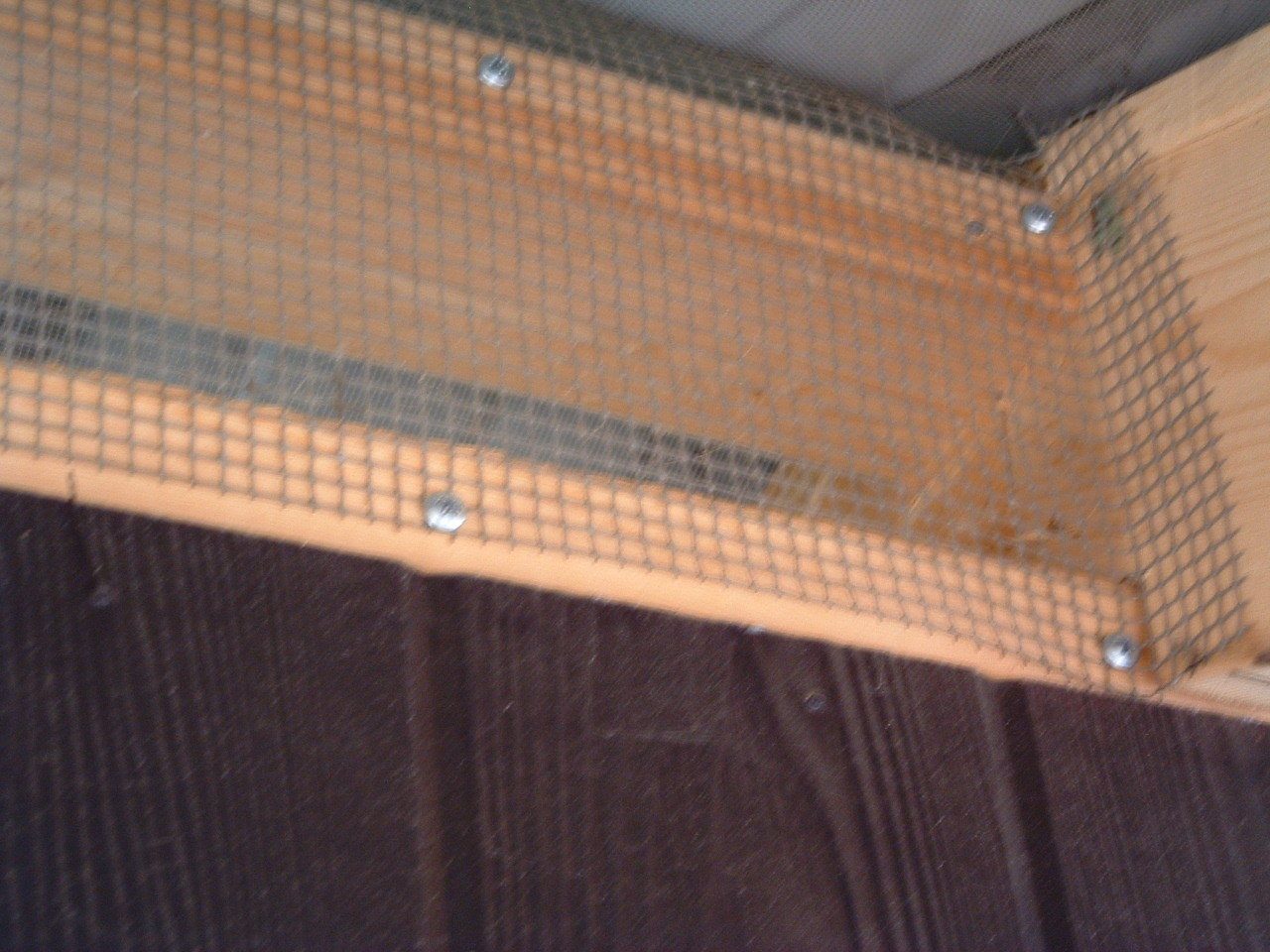 97568_2002_0101image0004.jpg