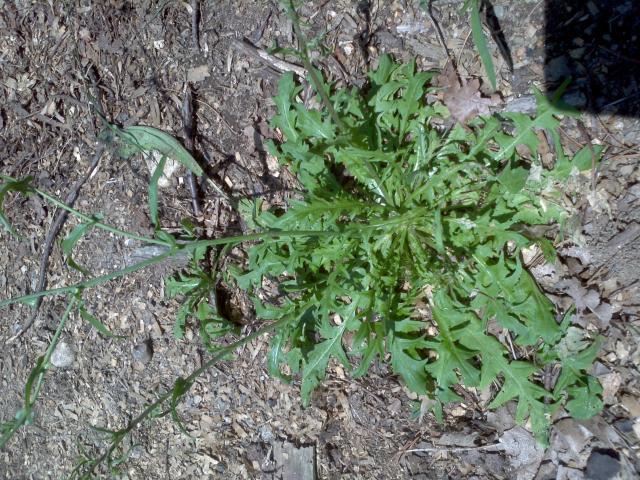 97679_2011-06-27_11-46-08_47.jpg