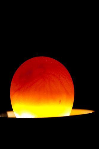 97801_egg.jpg