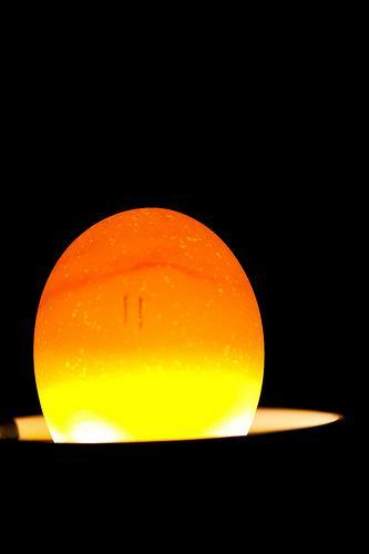 97801_egg11.jpg