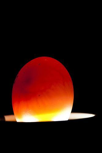 97801_egg12side.jpg