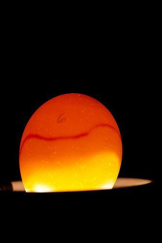 97801_egg6.jpg