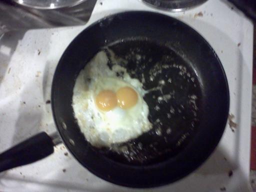 97870_eggs_5.jpg