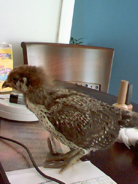 9848_pic0_tsc_3.jpg
