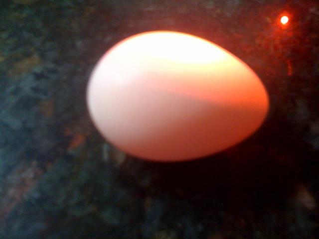 98519_photo.jpg