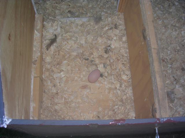 9863_dscn1623.jpg