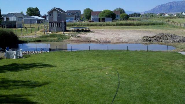 98817_new_pond.jpg