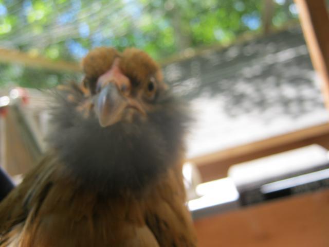 99208_033.jpg