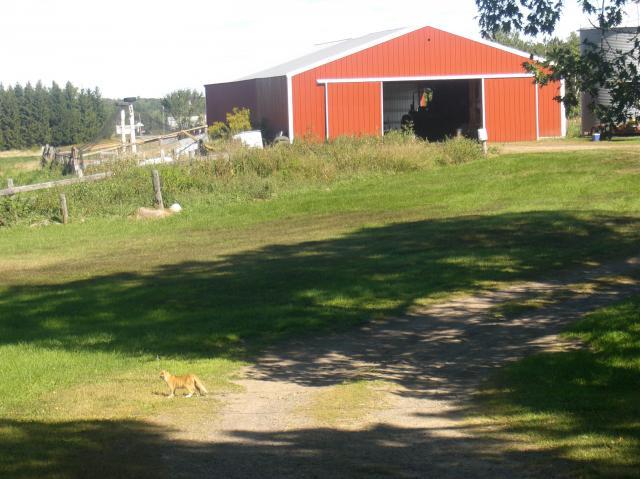 99279_cimg2740.jpg